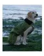 Dryrobe Dog Waterproof Dog Coat Green/Black