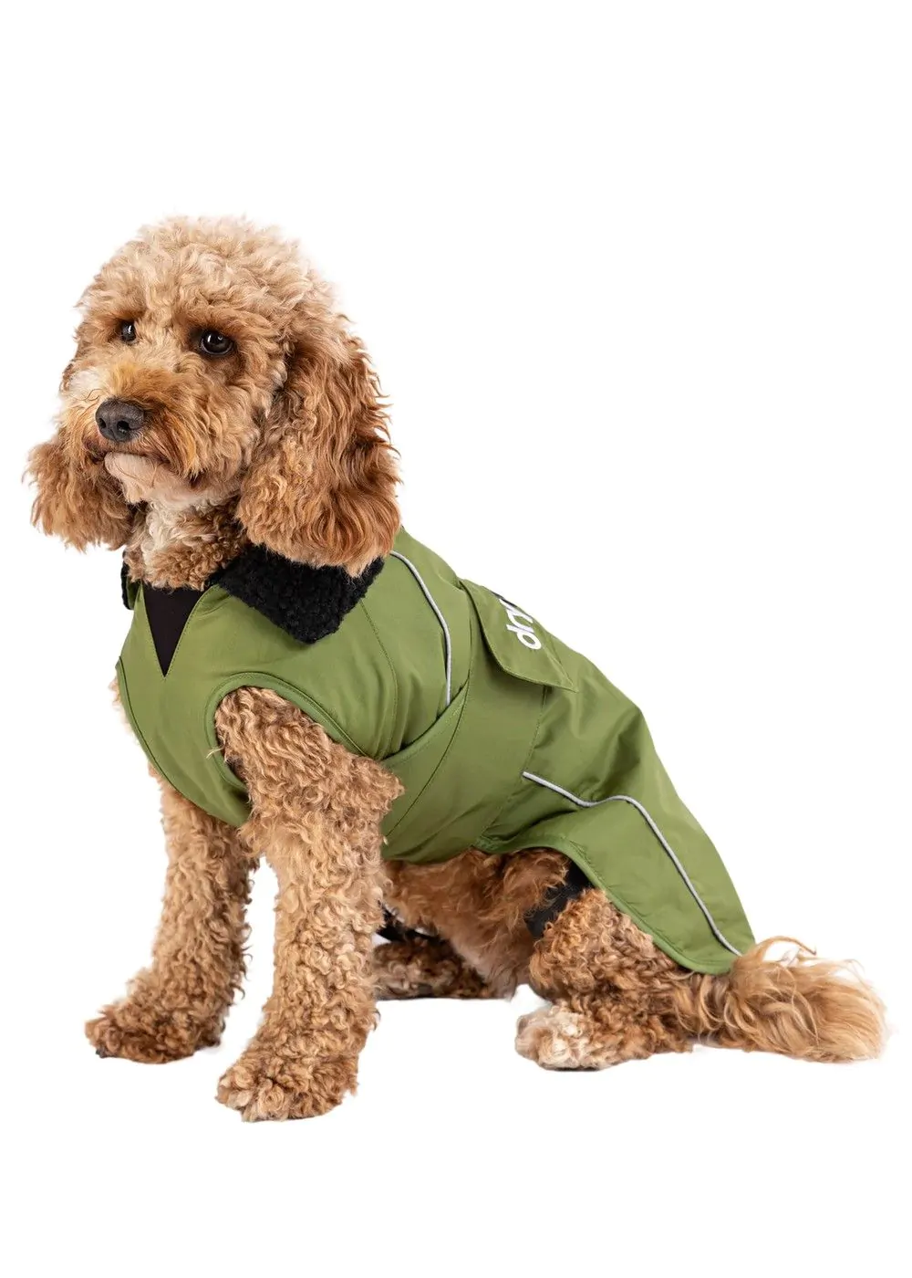 Dryrobe Dog Waterproof Dog Coat Green/Black