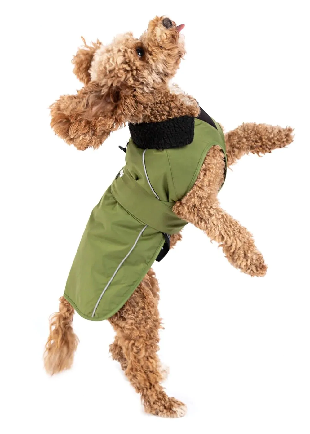 Dryrobe Dog Waterproof Dog Coat Green/Black