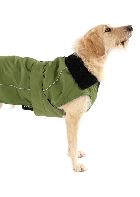 Dryrobe Dog Waterproof Dog Coat Green/Black