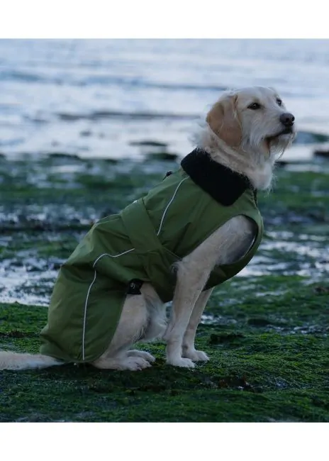 Dryrobe Dog Waterproof Dog Coat Green/Black