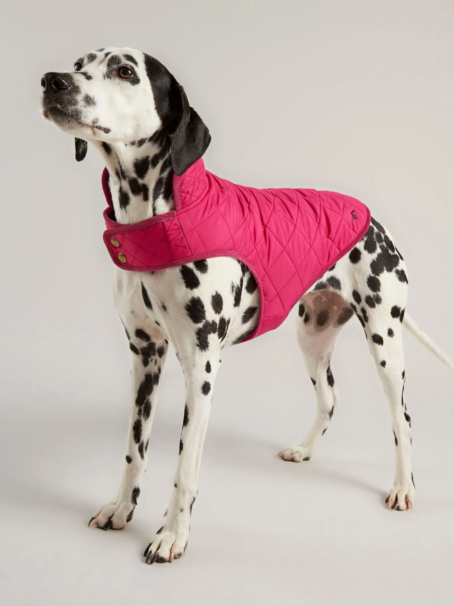 Raspberry Pink Quilted Rain Dog Coat