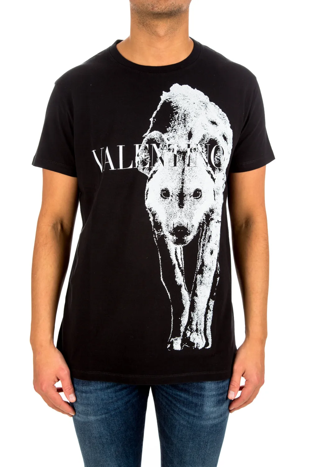 Valentino T-shirt / Polo | Credomen