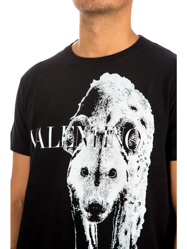 Valentino T-shirt / Polo | Credomen