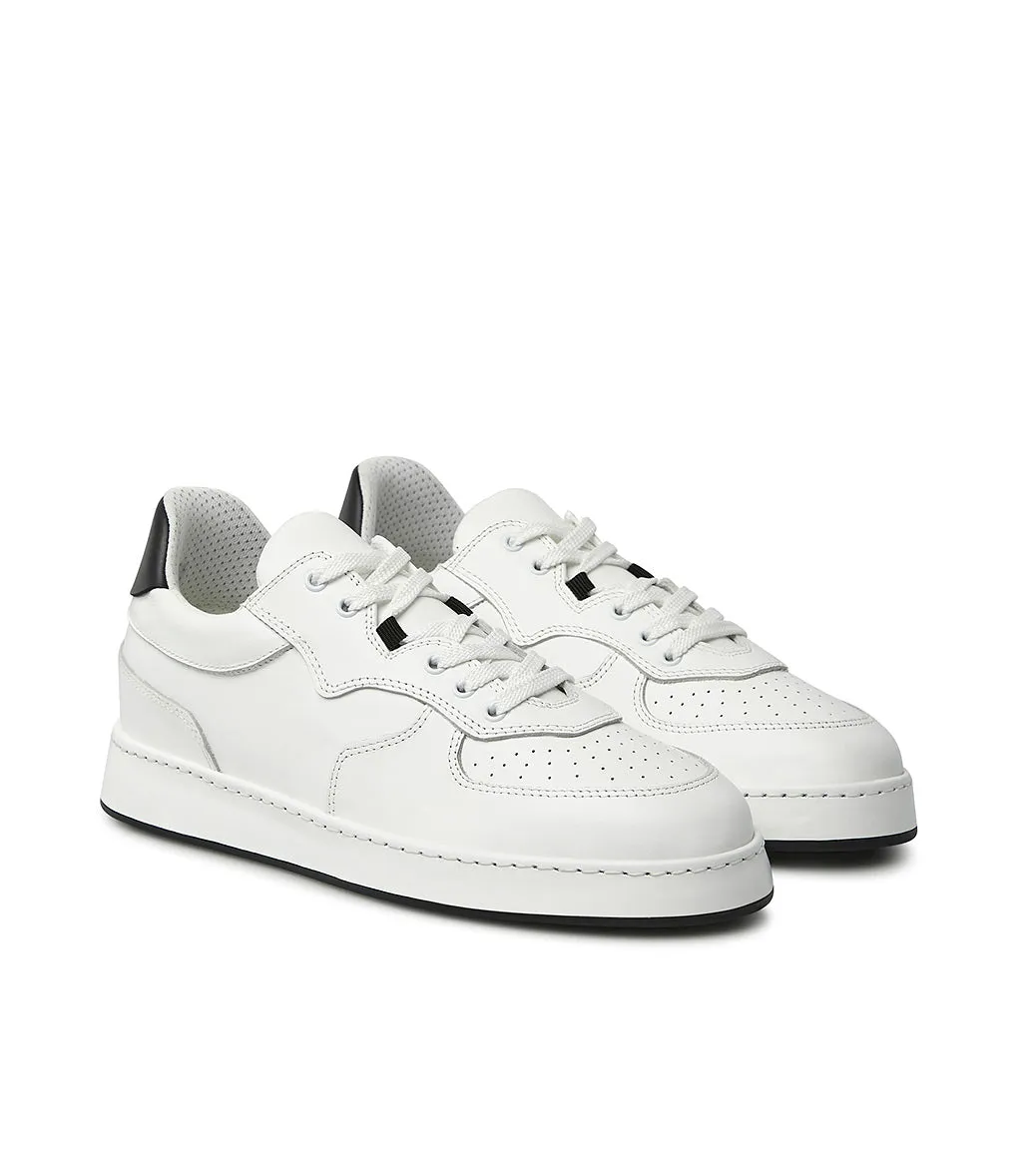 White leather sneakers